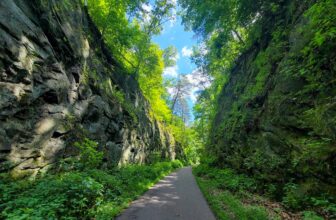 The Little Issues E-newsletter #426 – Life, laughter, and plenty of nice meals!