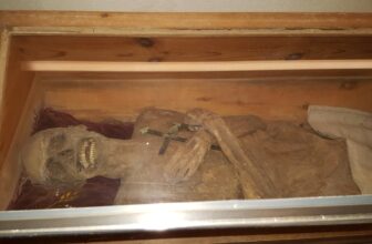 By no means-Earlier than-Seen Anal Embalming Methodology Stored This European Mummy Preserved for Practically 300 Years