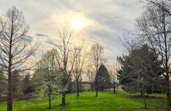 The Little Issues Publication #465 – Life, laughter, and many nice meals!