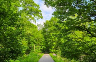 The Little Issues E-newsletter #471 – Life, laughter, and many nice meals!