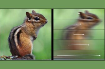 How Quick Is Too Quick to See? Research Reveals Your Visible Velocity Restrict