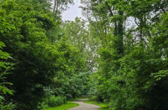 The Little Issues E-newsletter #477 – Life, laughter, and plenty of nice meals!